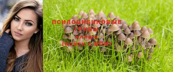 ALPHA-PVP Беломорск