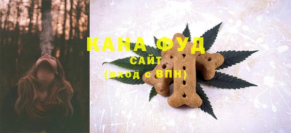 молекула духа Белокуриха